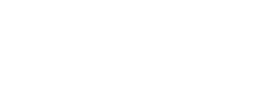 logo_dapex